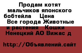 Продам котят мальчиков японского бобтейла. › Цена ­ 30 000 - Все города Животные и растения » Кошки   . Ненецкий АО,Вижас д.